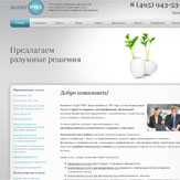 Создание и поддержка сайта консалтинговой компании «Аудит ПРО» (нажмите для увеличения)